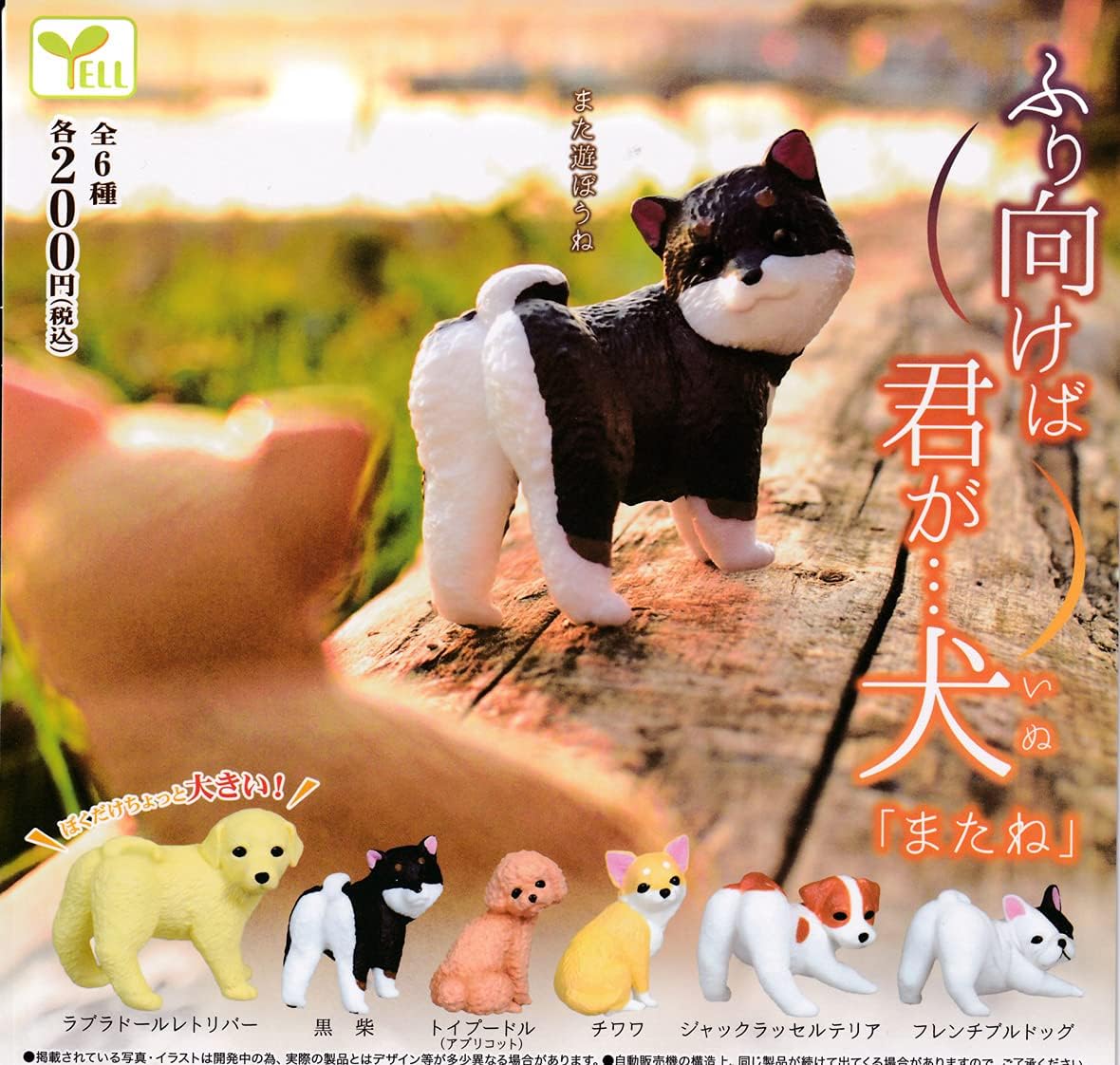 Amazon ふり向けば君が 犬 またね 全6種セット フルコンプ ガチャガチャ カプセルトイ カプセル玩具 おもちゃ