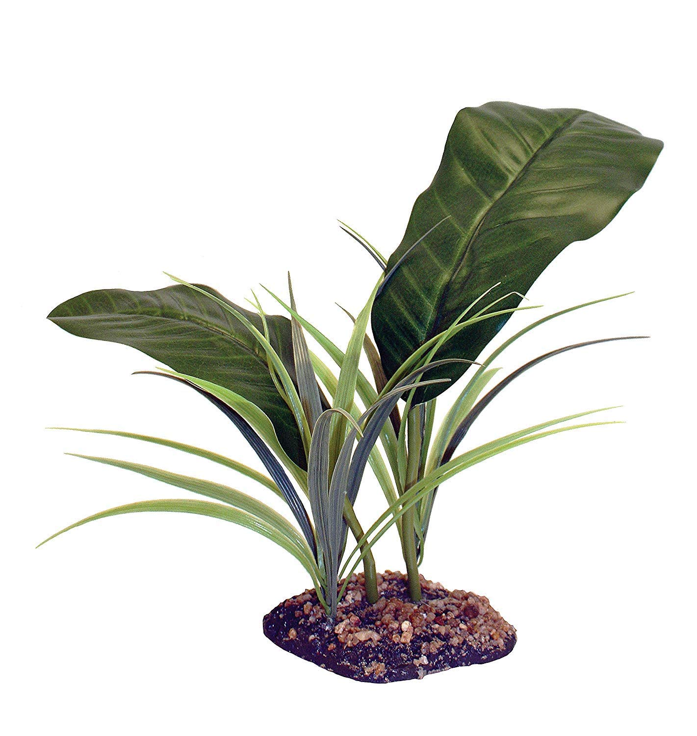 Komodo Evergreen Canopy 30cm