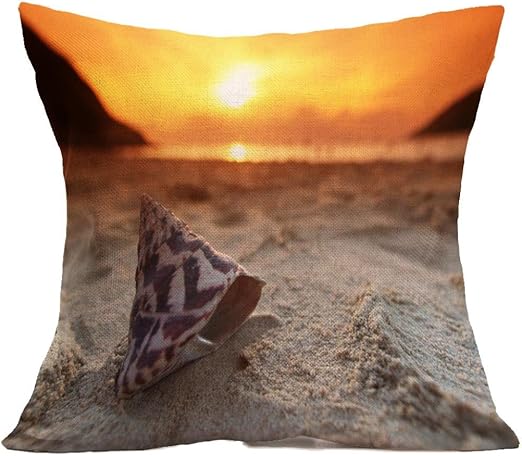 Get Plage oreillers canape Desktop Wallpaper Free