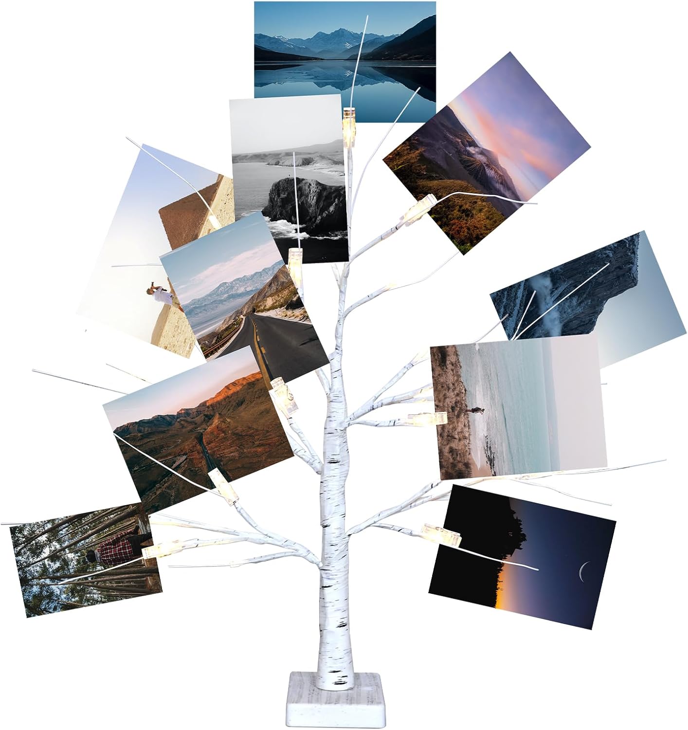 Trees - ESTTOP Money Tree Gift Holder, 24