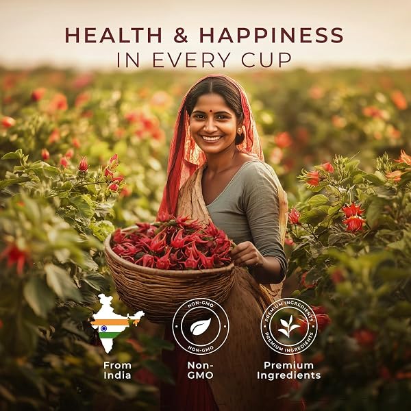 GYA TEA CO HIBISCUS HERBAL TEA BAGS (100 BAGS) – CAFFEINE FREE WITH A TANGY FLAVOR FOR ALL DAY COMFORT, CALMING, RELAXING & NOURISHING – FRUIT & HERBAL BLENDS