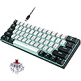 Snpurdiri 60% Wired Mechanical Gaming Keyboard, Ice Blue LED Backlit 61 Keys Mini Wired Office Keyboard for Windows Laptop PC Mac (Black-White, Red Switches)