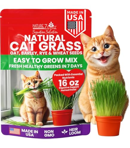 Amazon.com : Cat Grass Seeds for Planting - 5 Pounds - Nutritious
