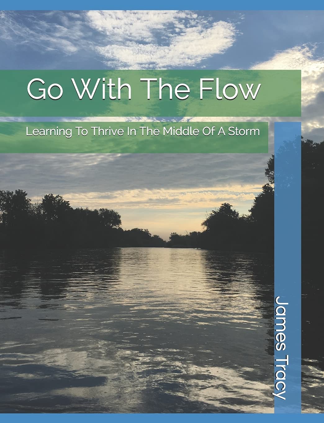 Go With The Flow Learning To Thrive In The Middle Of A Storm Tracy Mr James H Amazon Com Books