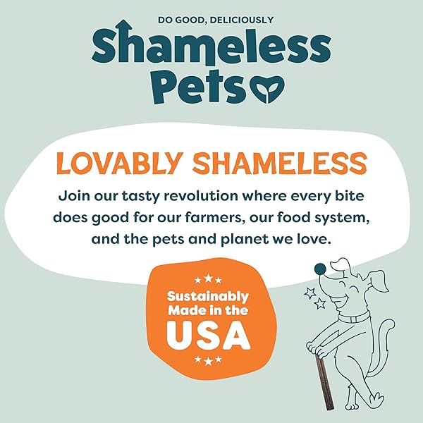 SHAMELESS PETS CARROT & MINT DENTAL CHEWS FOR DOGS, 32 CHEWS – NATURAL DOG TEETH CLEANING TREATS WITH FRESH BREATH BENEFITS | GRAIN-FREE DENTAL STICKS FOR SMALL, MEDIUM & LARGE DOGS
