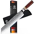 Fanteck 9.5" Kiritsuke Chef Knife,Kitchen Knife Damascus Pro Sharp VG10 High Carbon Stainless Steel 67-Layer Meat Sushi Fruit Cutting Chef Knife[Gift Box & Plastic Cover]Ergonomic Pakkawood Handle