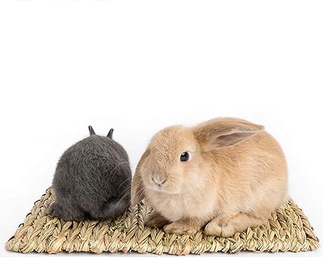 Amazon Co Jp モルモットオウムウサギバニーハムスター用天然織りグラスマットバニー寝具の巣 食用の葦の手作りストローマット あなたの小さなペットに最適 ホーム キッチン