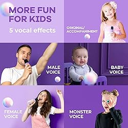 YLL Mini Karaoke Machine with 2 Wireless
