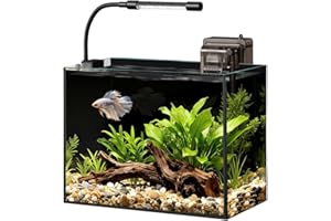 MINILAKE Glass Fish Tank Kit, 2.5 Gallon Betta Fish Tank Aquarium Starter Kit with Filter, Lights, Lid, for Betta, Goldfish, Small Fish or shrimg