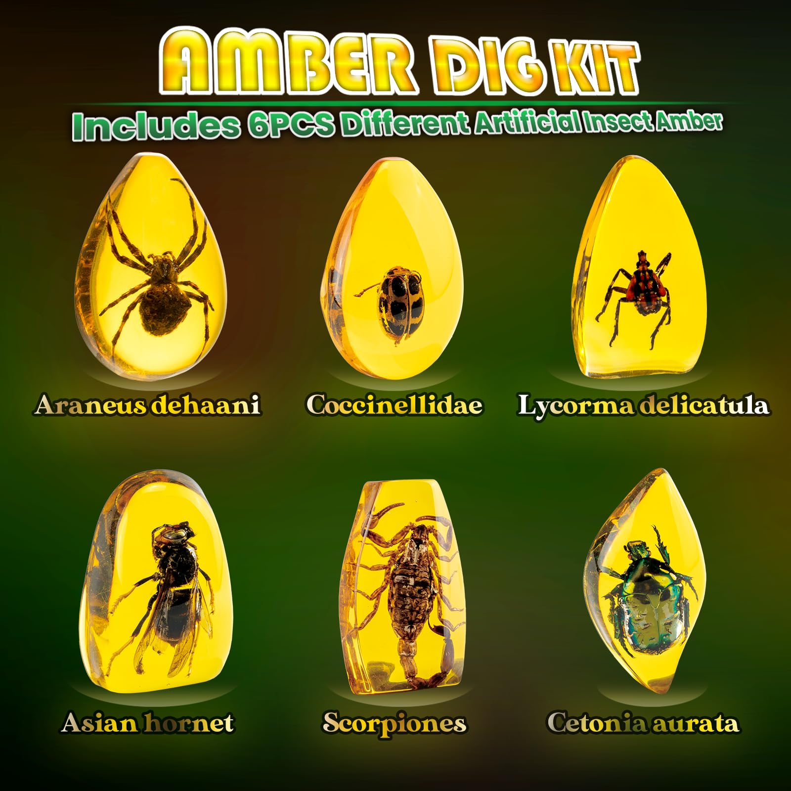 GobiDex Amber Dig Kit-Artificial Insect Resin, Excavate 6 Insects Specimens, STEM Geographic Educational Bugs Toys, Excavation Toys for Fun Bugs Party Favors, Science Kits for Kids Age 6-8 8-12