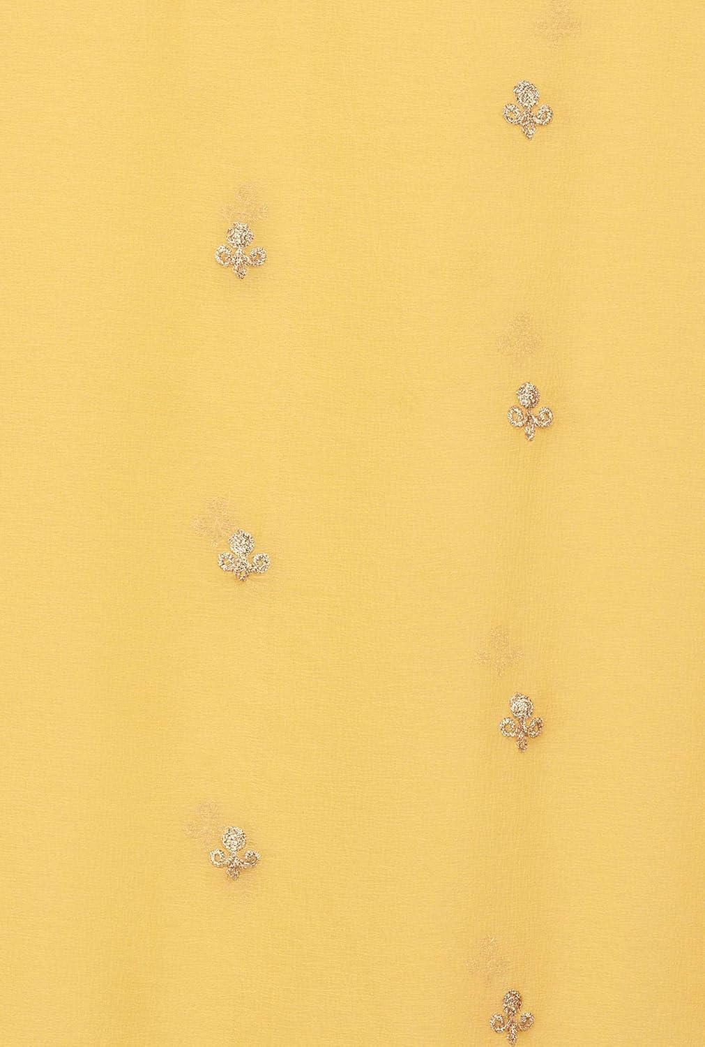 pistaa's women's chiffon embroidered fancy dupatta