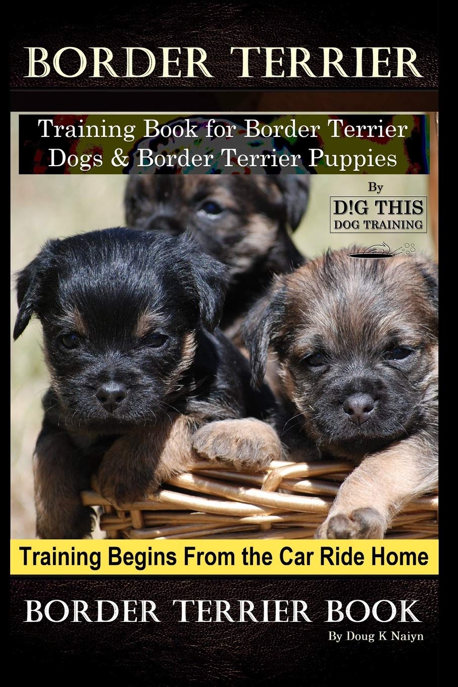 how to train a terrier puppy
