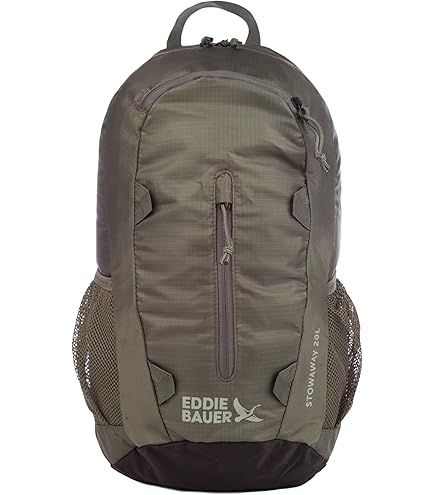 Eddie Bauer Voyager 3.0 22L Backpack with Protected Laptop and Tablet Sleeves : Electronics