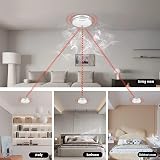 XINDUM Smoke Alarm Interlinked 10 Year Battery Wireless 30 Link 100m view 3