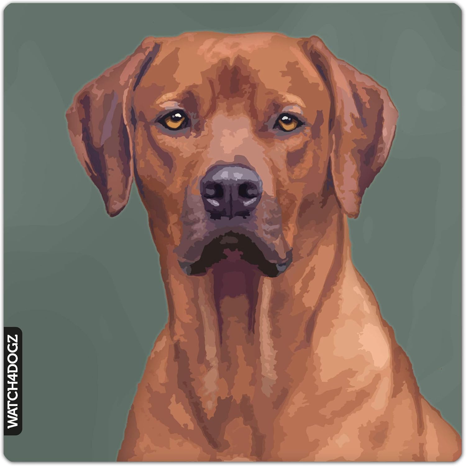 rhodesian ridgeback x