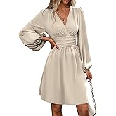 SKAYS Women's Long Sleeve Dress Smocked Elastic Waist Tunic Casual Elegant Puff Sleeve V Neck A Line Swing Mini Dress Apricot XL
