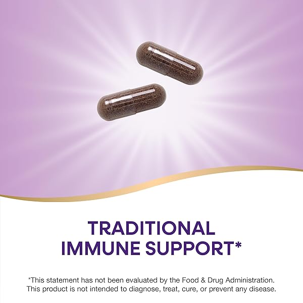 NATURE’S WAY BLACK ELDERBERRY CAPSULES, TRADITIONAL IMMUNE SUPPORT* SUPPLEMENT WITH ELDERBERRY AND ELDERFLOWER, PLANT POWERED, 100 CAPSULES (PACKAGING MAY VARY)
