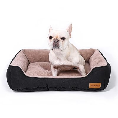 most durable pet beds