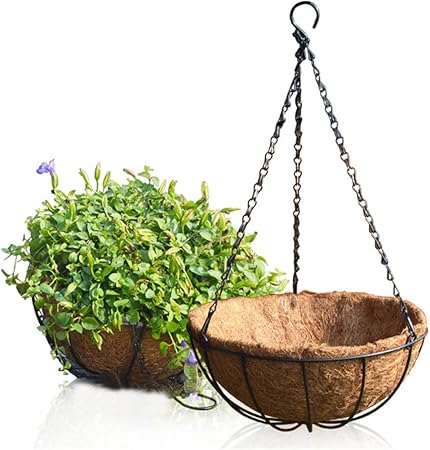 Amazon Com 10 Outdoor Coconut Palm Hanging Baskets Decoration