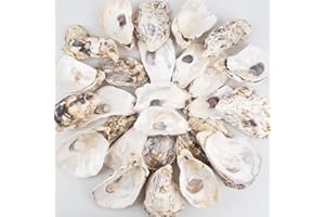 QEQEKAKA 30PCS Oyster Shells Flat & Concave 4"-5" Large Oyster Shells for Crafts Natural Oyster Shells Bulk, for Home Vase Filler, Xmas Ornaments, DIY Arts and Crafts Sea Shells