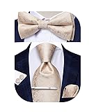 Hi-Tie Champagne Paisley Tie Bow Ties Sets for Men