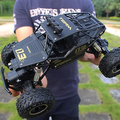 big remote control toys