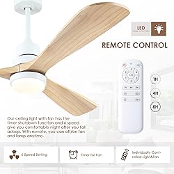 60" Outdoor Ceiling Fans with Lights and