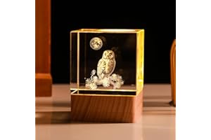 LONGWIN Owl Gifts for Owl Lovers Women, 3D Led Night Light 50mm Cube, Glass Laser Engraved Animal Figurines Home Decor Birthday, Valentines Day, Mothers Day Gift