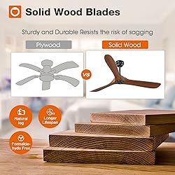 addlon Ceiling Fans, 60 Inch Indoor/Outdoor Ceiling