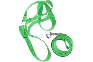ibasenice Adjustable Nylon Halter with Rope for Miniature Horse, Donkey, Goat, and Cattle Training