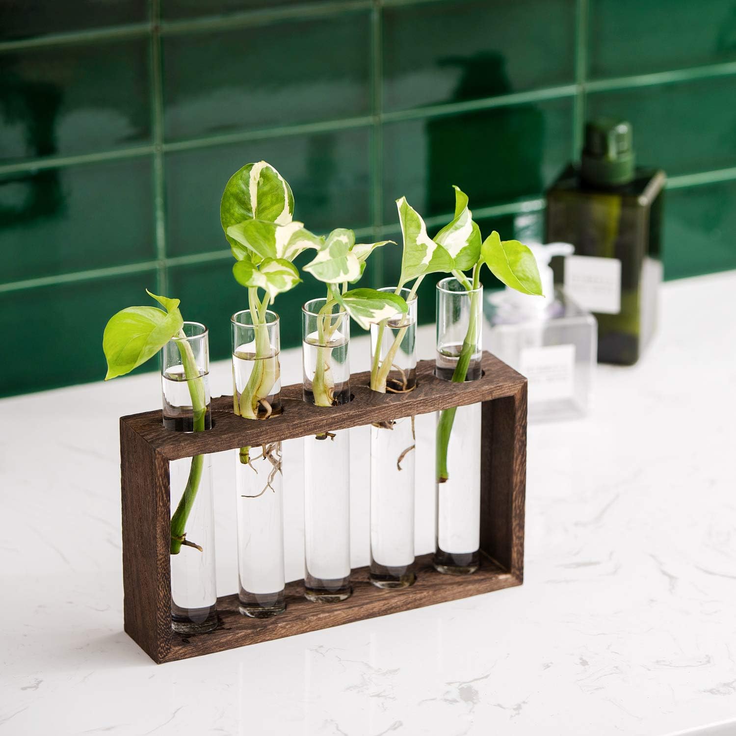 Mkono Wall Hanging Glass Planter Propagation Station Modern Flower Bud Vase in Wood Stand Rack Tabletop Terrarium for Hydroponics Plants, Home Office Decoration with 5 Test Tube, Medium, Brown: Garden & Outdoor