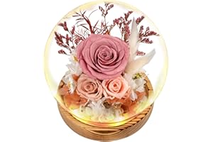 TGELATA Flowers, Roses Gift - Fresh Flowers Bouquet & Preserved Roses, Rose Arrangement That Lasts Forever – Birthday Gift for Women, Mother’s Day & Christmas-Dusty Rose