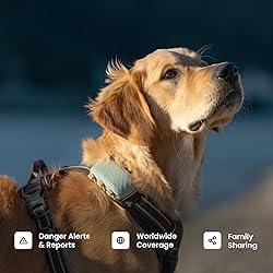 Tractive XL Smart Dog GPS Tracker | Live Pet