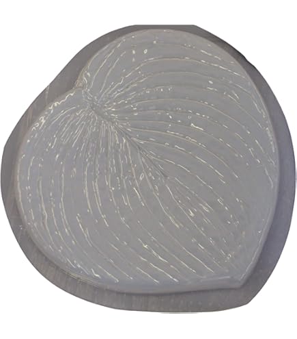 Elephant Leaf Stepping Stone Mold | 15.5"x12.5" Plastic Craft Mold For Concrete, Cement, Or Plaster