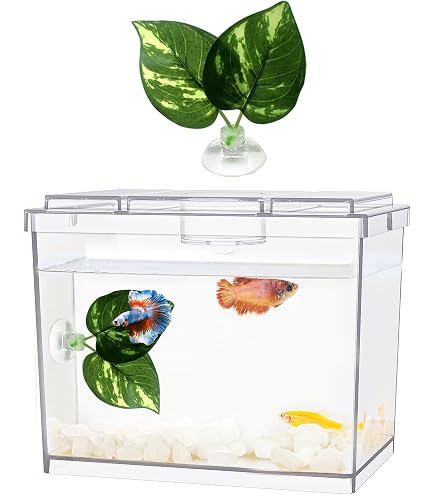 Penn-Plax Spongebob Aquarium – 0,7 Gallonen (2,6 L) Für Betta & Goldfische, Mit Lustigem Design