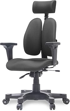 Duorest Gold Ergonomic Office Chair with Twin Backrests