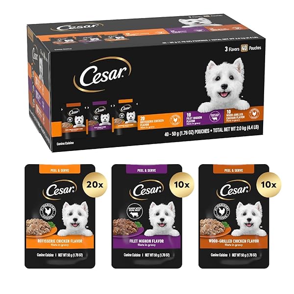 CESAR FILETS IN GRAVY WET DOG FOOD ROTISSERIE CHICKEN FLAVOR, FILET MIGNON FLAVOR, AND WOOD-GRILLED CHICKEN VARIETY PACK, WET FOOD FOR DOGS, 1.76 OZ. MINI-POUCHES, 40 COUNT