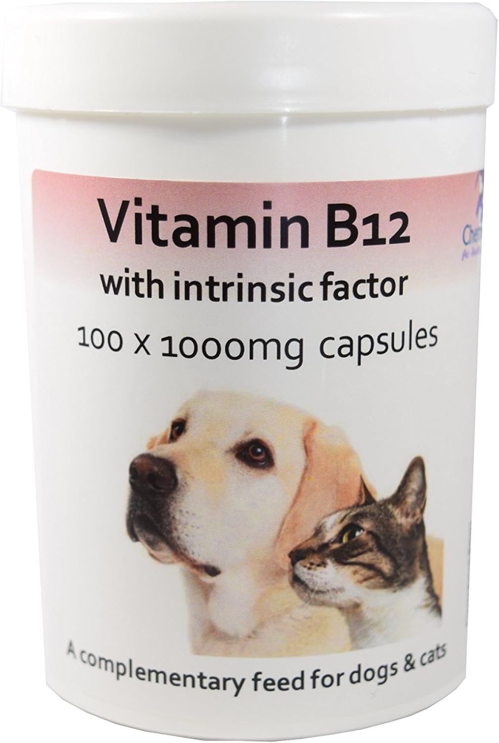 what happens when a dog dies of heart failure