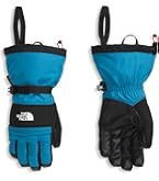 Amazon.com : Dakine Team Phoenix Gore-Tex Glove - Sammy Carlson