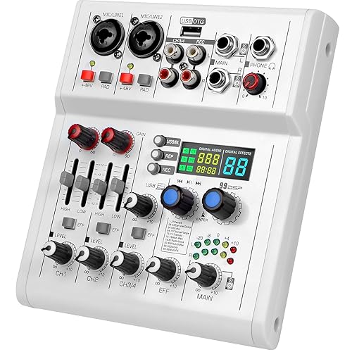 Channel Audio Mixer, Professional with Dual Wireless Microphone