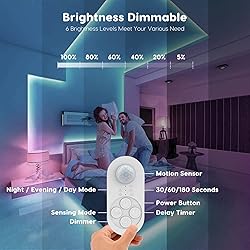 Dual Motion Sensor Light Indoor - Plug-in Motion