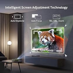 WEMAX Laser Projector, Netflix Officially