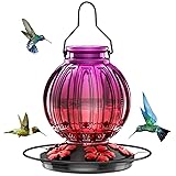 Glass Hummingbird Feeder for Outdoors Hanging, 26Oz