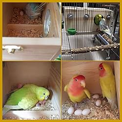 kathson Parakeet Nest Box Budgie Nesting House