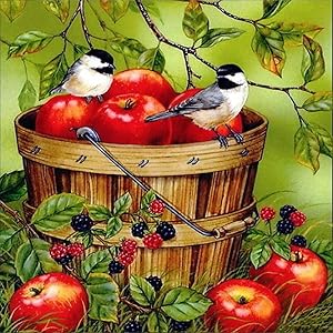 5D DIY Diamond Painting by Number Kits, Embroidery Paint with Diamonds Wall Sticker for Wall Decor - A Barrel of Apples 12x12inch