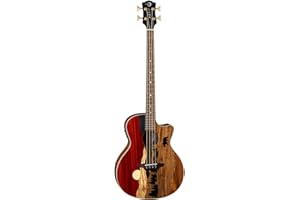 Luna Guitars Vista Bear 4 String Acoustic/Electric Bass with Case, Right (VISTABEARBASS)
