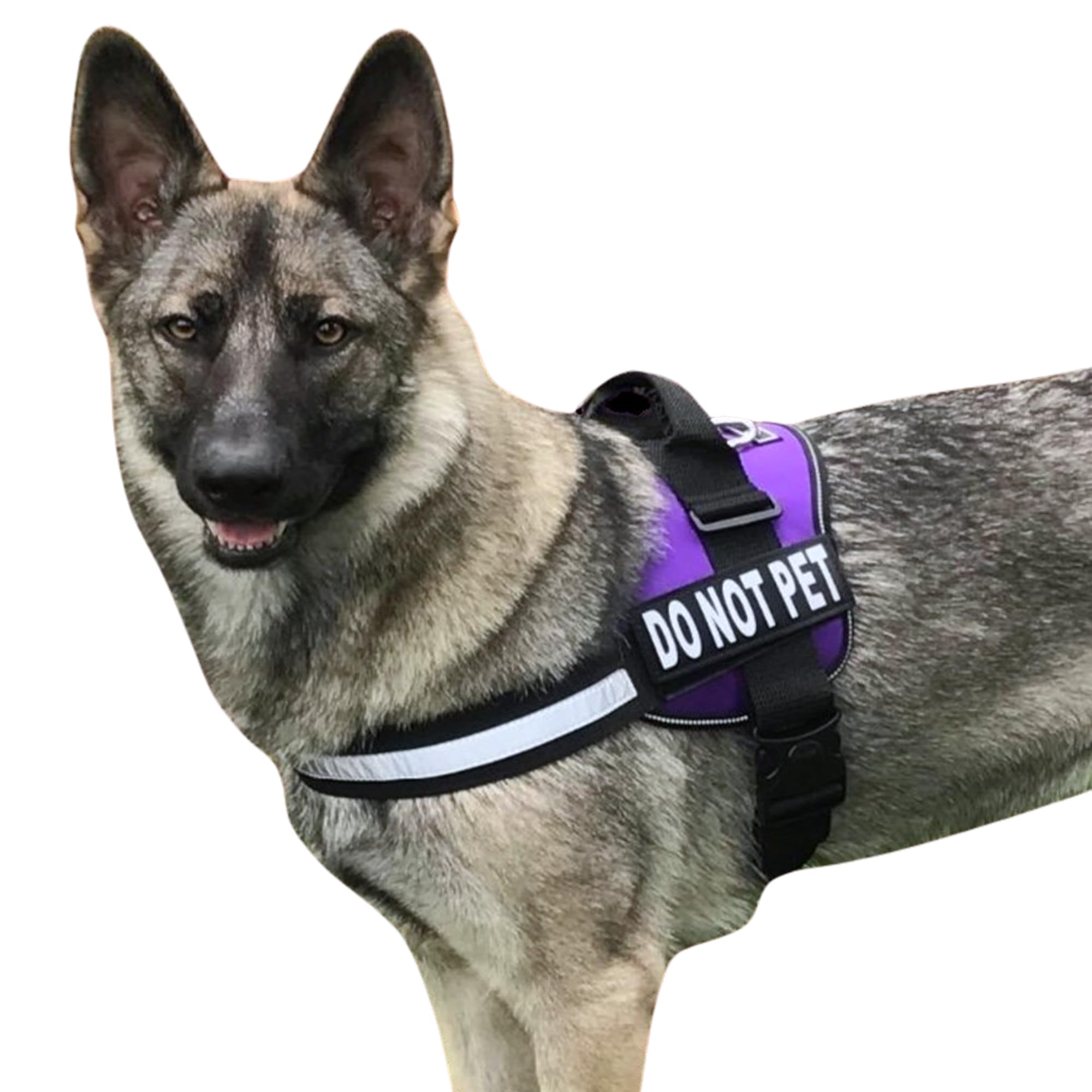 DO NOT PET Dog Vest Harness with Removable Patches and Reflective Trim. Comes with 2 DO NOT PET Reflective Removable Patches. Please Measure Dogs Girth Before Purchase
