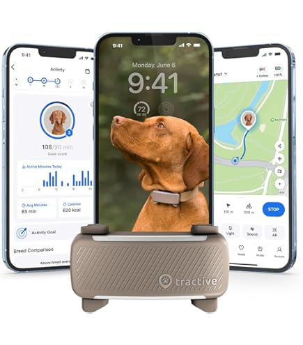 Amazon.com: Tractive GPS Dog Tracker (2025 Release) Real