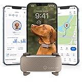 Tractive Smart Dog GPS Tracker | Live Pet Tracker