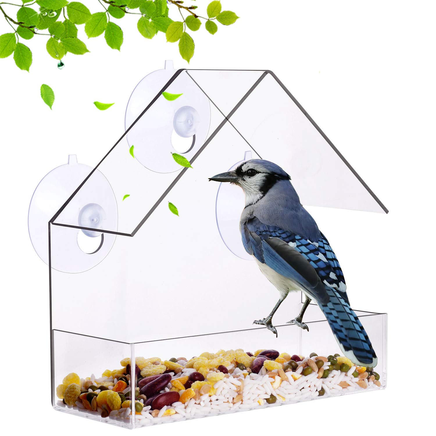 Window Bird Feeder Clear Window Hanging Bird Feeder With Suction Cup Includes 21 Drain Holes